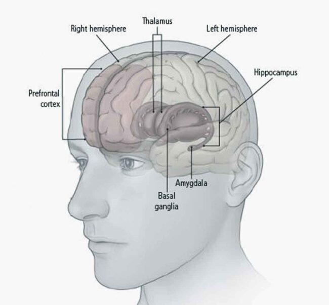 Neurofeedback training in depression helps to reach long-lasting results