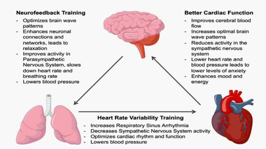 Heart Rate Variability Biofeedback relations to other modalities