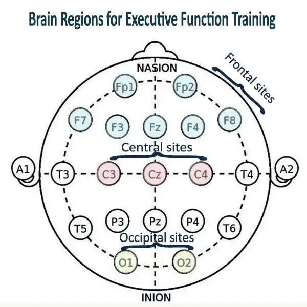 Brain Regions for Executive Function Training