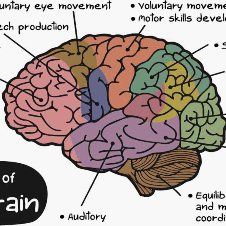 Biofeedback & Neurofeedback Therapy | Control You Performance & Health