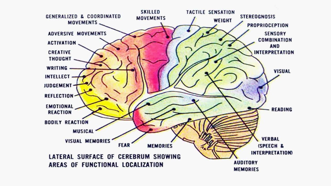 Just thinking about doing a math problem causes some people's posterior  insula—the part of the brain that reacts when you're physically…