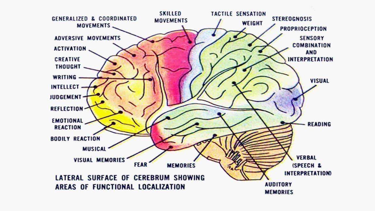 Brain Rregions & Neurofeedback therapy training