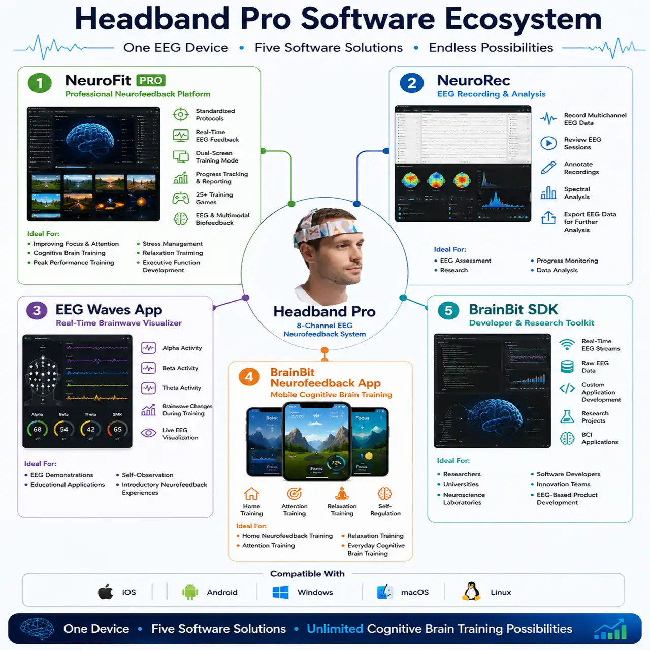 BrainBit Software