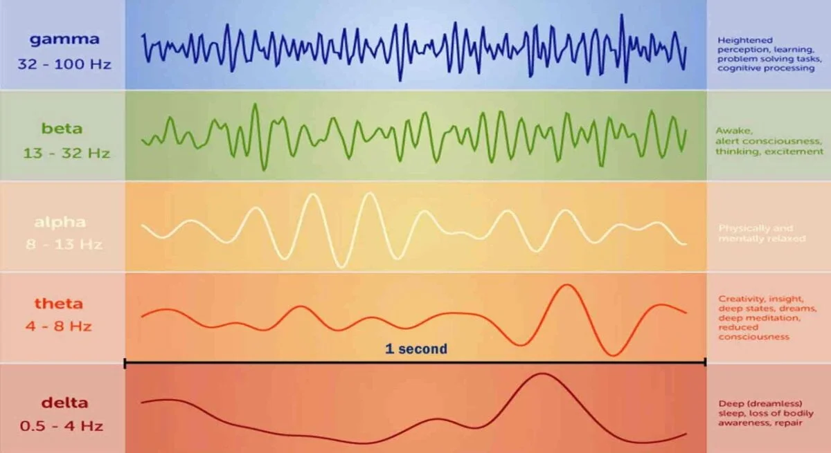 Brainwaves in Neurofeedback training