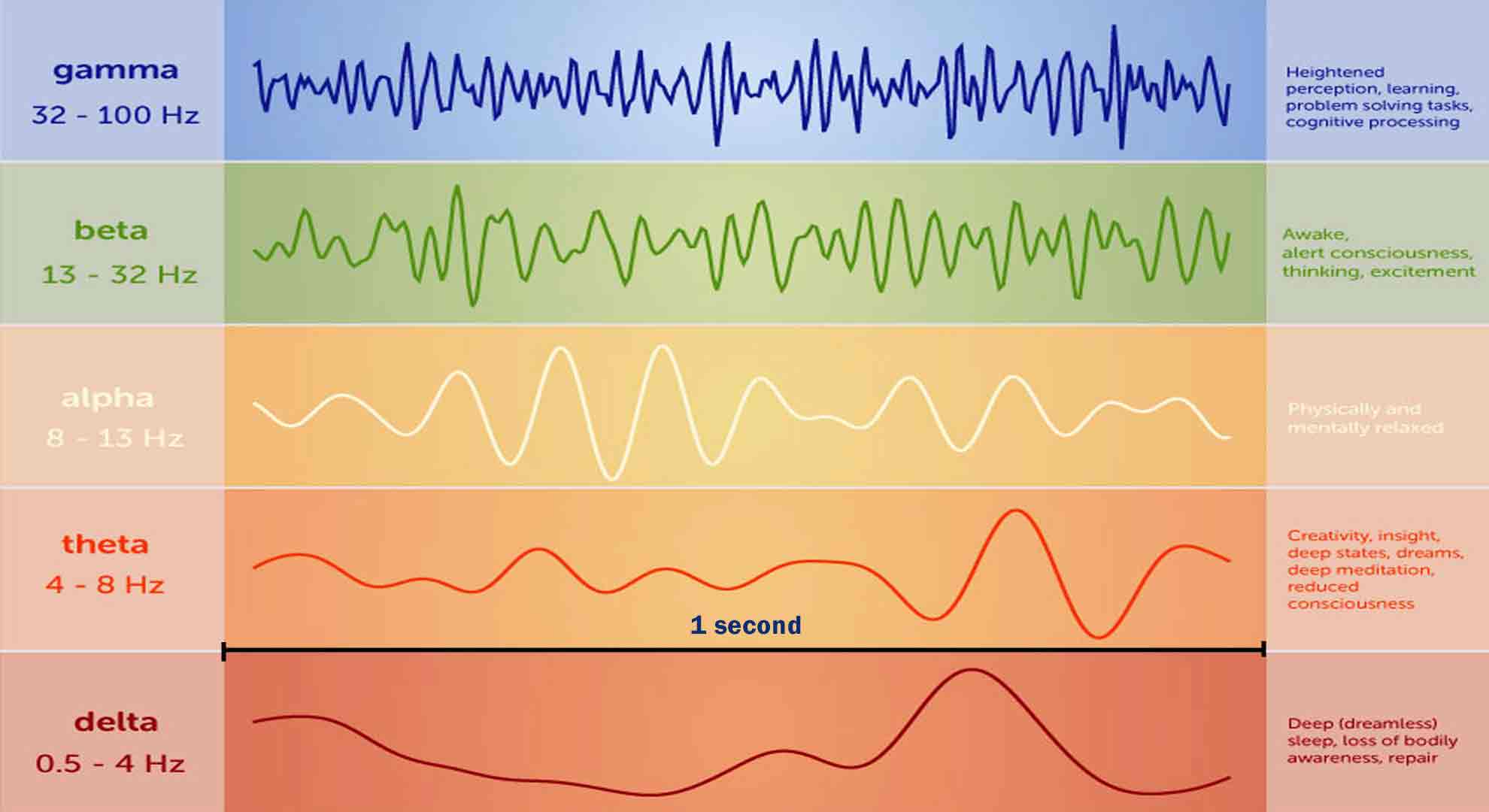 Brain waves encode rules for behavior - MIT News - Massachusetts Institute  of Technology