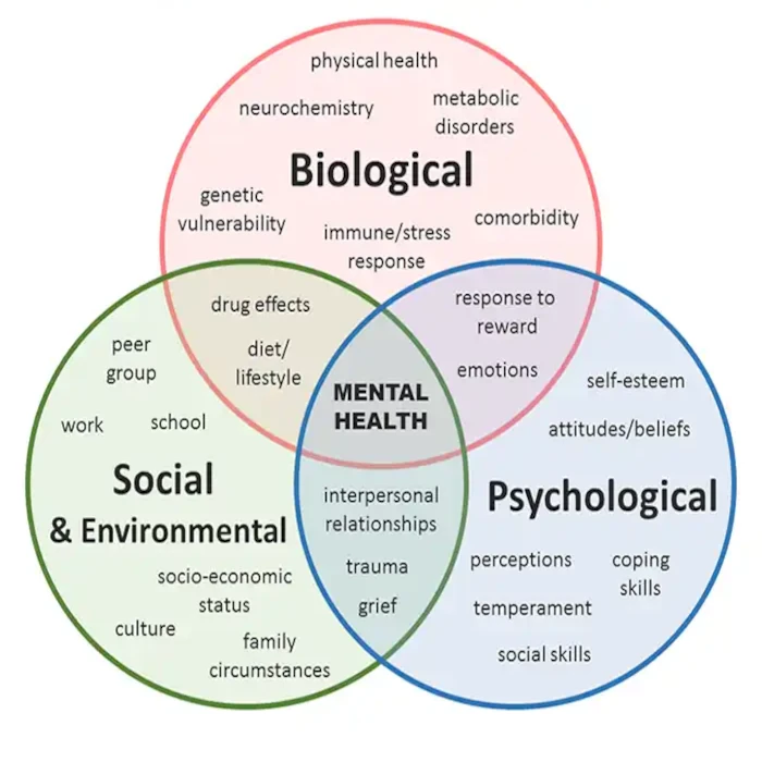 Key Reason of Depression in MS