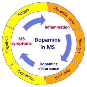 MS and Dopamine