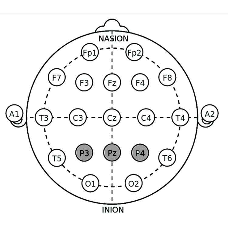 Dyscalculia NFB - electrode location-2