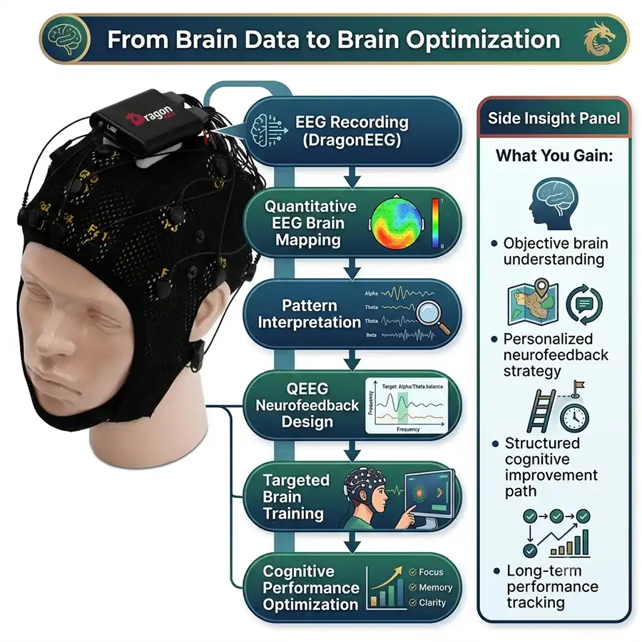 From Brain Data to Brain Optimization