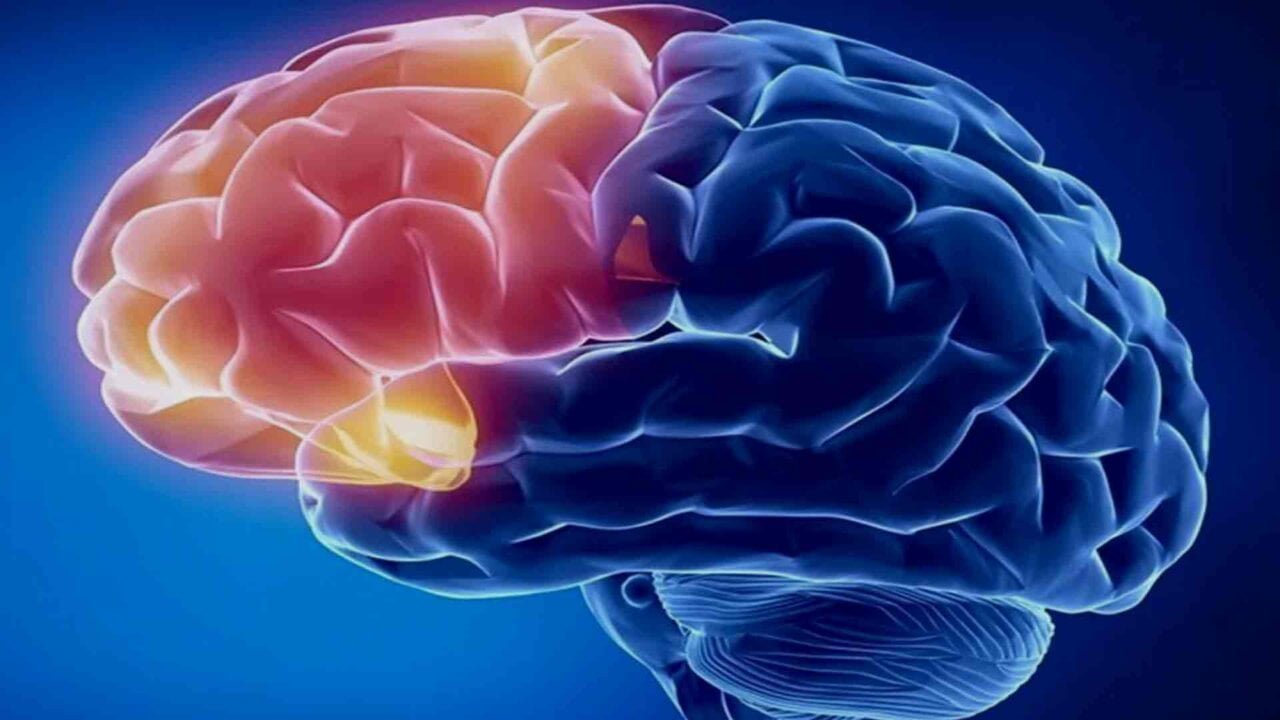 Brain Region in Neurofeedback therapy training - Frontal lobe
