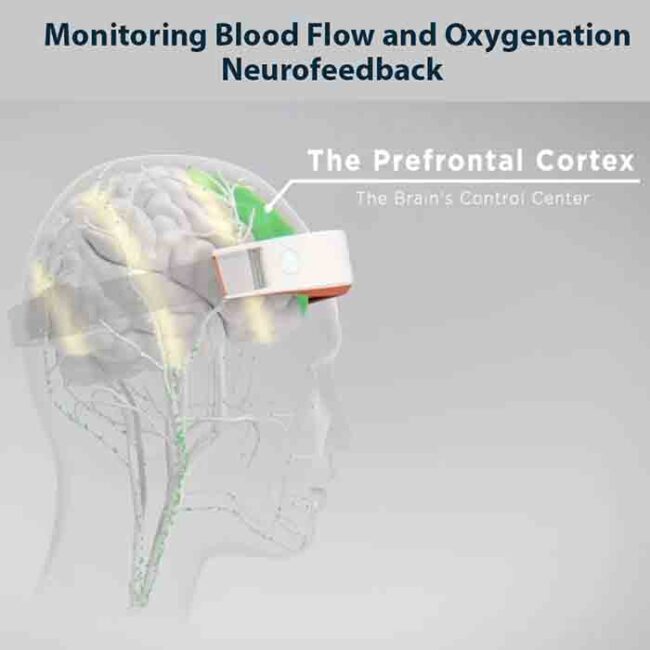 Monitoring Blood Flow and Oxygenation Neurofeedback Training