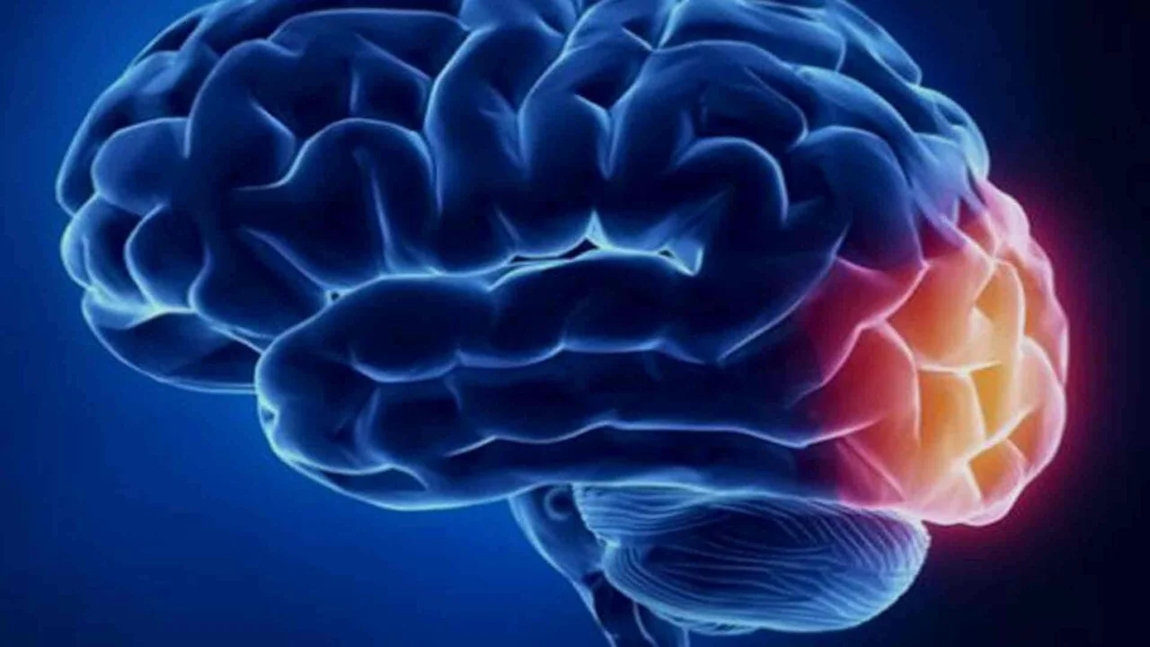 Brain Region in Neurofeedback therapy training - Occipital lobe