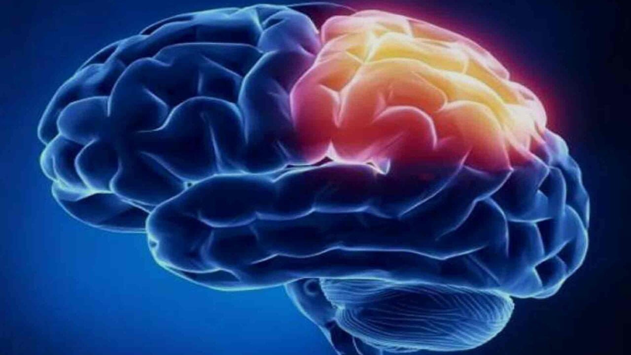 Brain Region in Neurofeedback therapy training- Parietal lobe