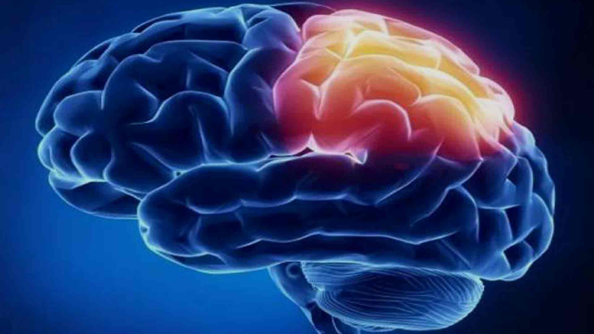 Neurofeedback training/therapy rewire the brain for success/health