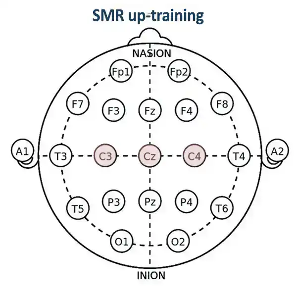 SMR up-training