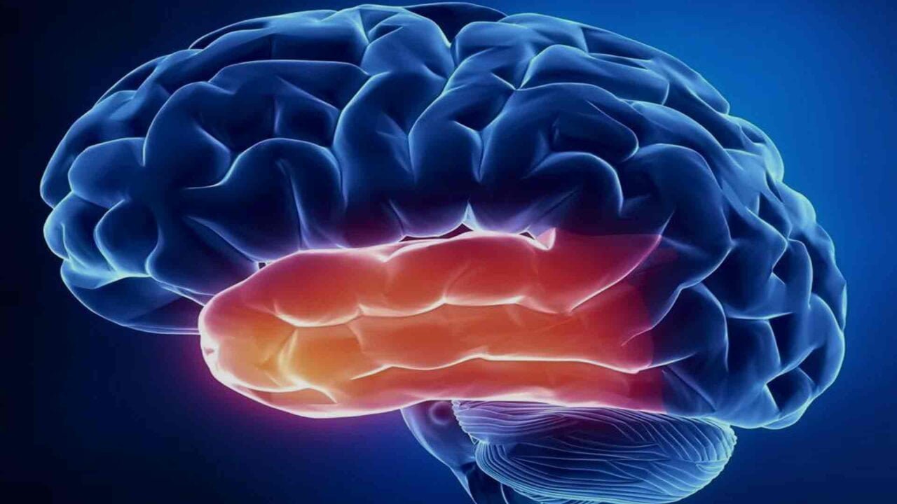 Brain Region in Neurofeedback therapy training- Temporal lobe