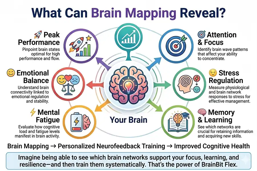 What Can Brain Mapping Reveal