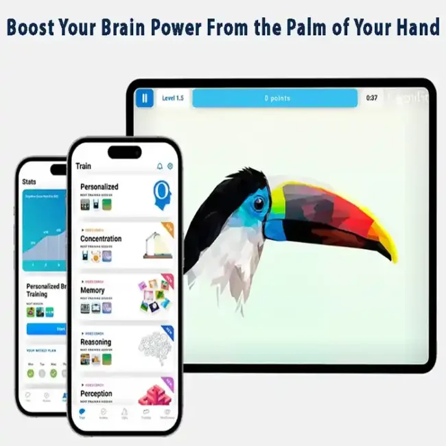 Cognitive training app