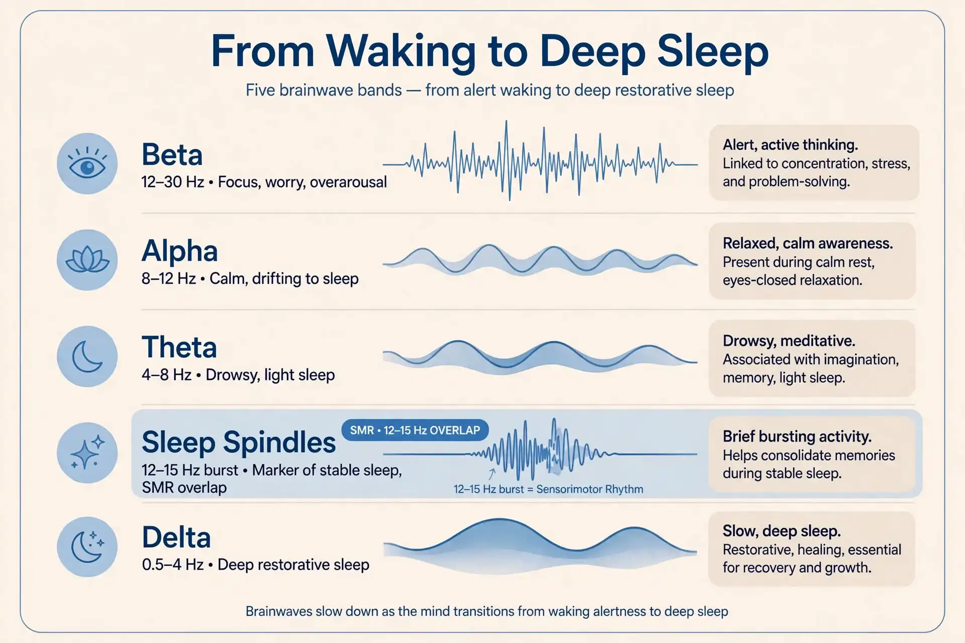Neurofeedback for sleep: Brainwave bands from beta to delta and sleep spindles explained