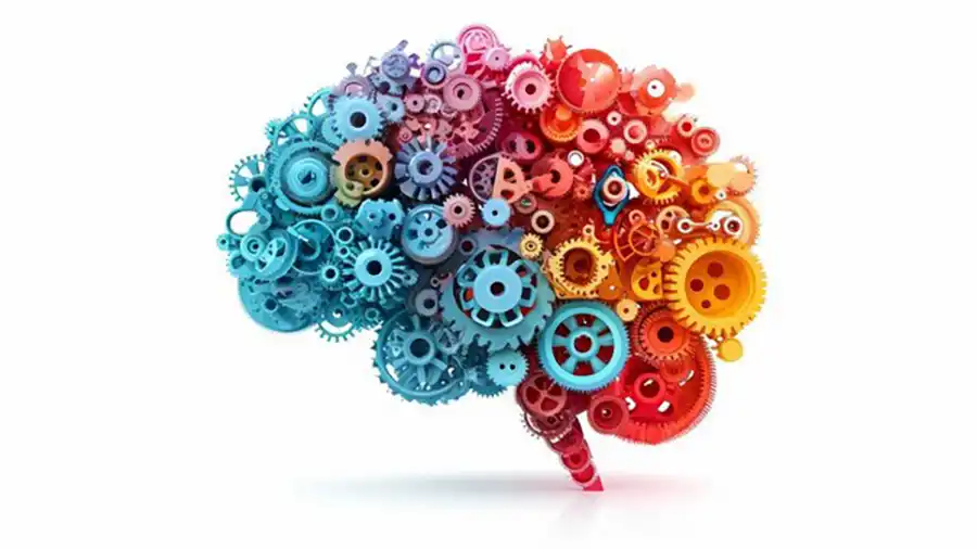 Cognitive Assessment Test