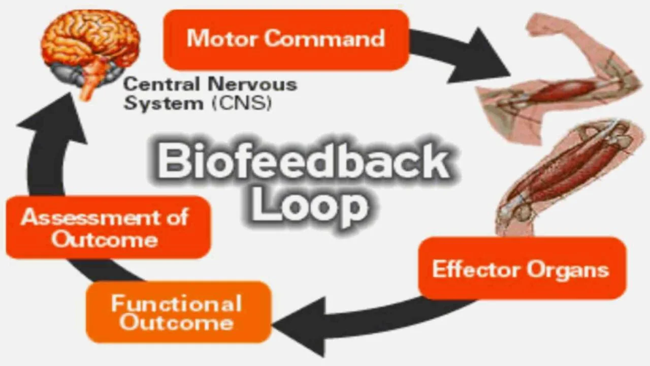 EMG biofeedback, indication, electrode placement sites